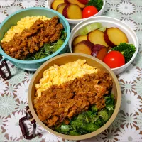 鯖味噌カレーの三色丼弁当|魔女の食卓さん