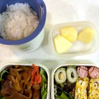 2月20日のお弁当🍱|momotoemiさん