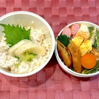 中学生息子のお弁当🍱 鶏むね肉と小松菜の煮物と春巻き弁当🍱|Snow10さん