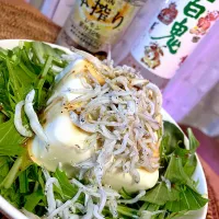 水菜と豆腐としらすのサラダ😋🥗🍻💕✨|アイさん