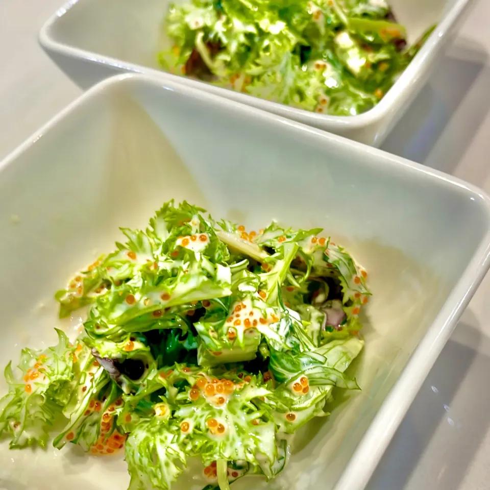 わさび菜ととびっこのコールスロー|ぎんさん