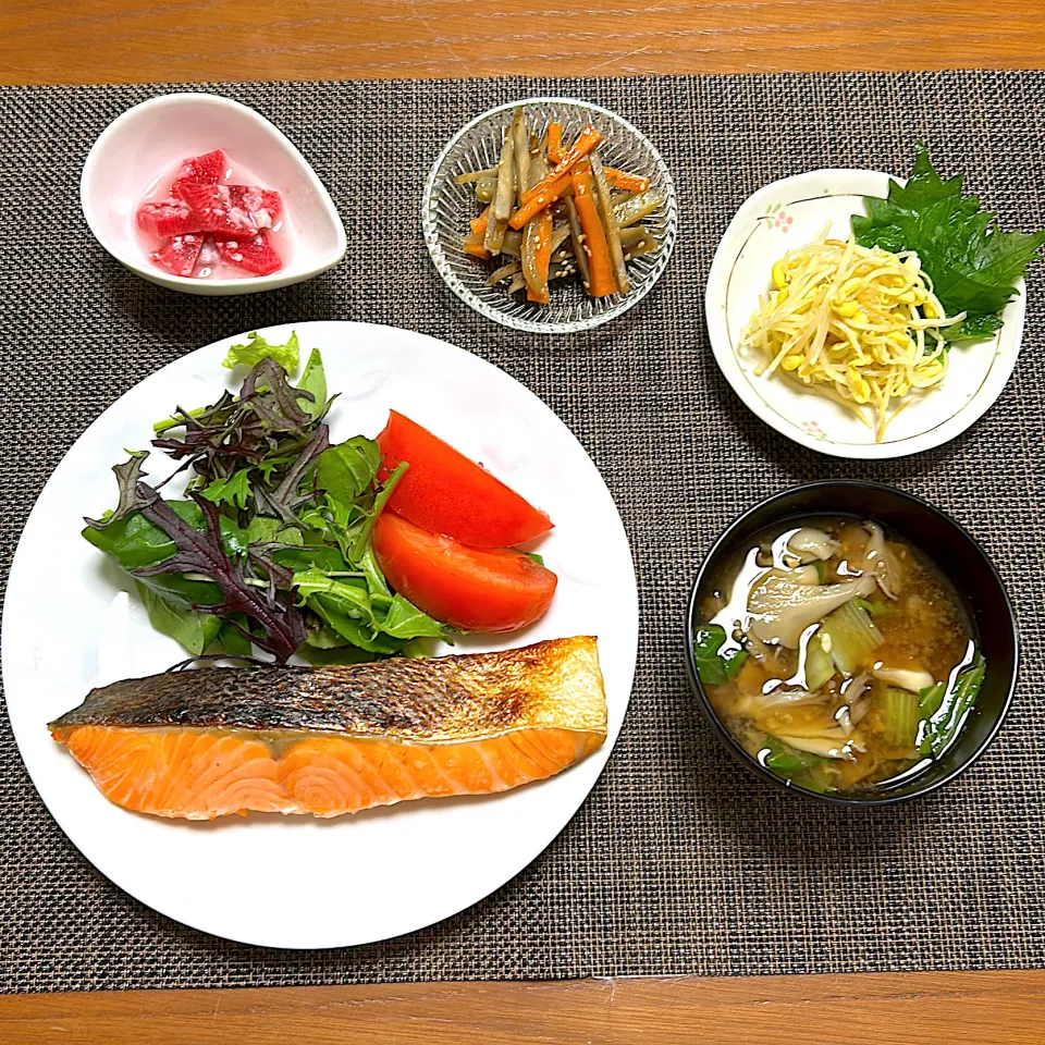 鮭の塩焼きとサラダ、ヤーコン・ごぼう・人参のきんぴら、豆もやしのレモン和え、紅大根の糀漬け、白菜と舞茸のお味噌汁|柚子きりかさん