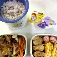 2月21日のお弁当🍱| momotoemiさん