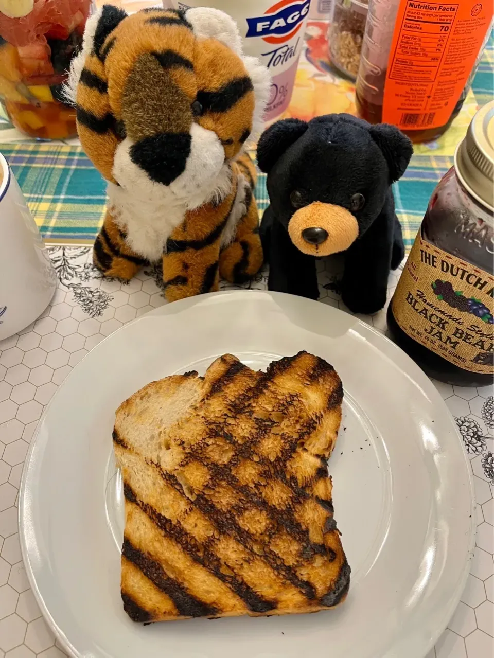 2025/2/20 ステーキの焼き目付け練習　Practice of Getting Perfect Grill Marks on Our Steak|19 Boys & 野鳥さん