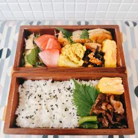 今日のお弁当🍱|すぅさん