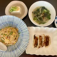 炒飯、餃子、スープ、冷奴 (古の中華っぽいヤツ)|tatsuponさん