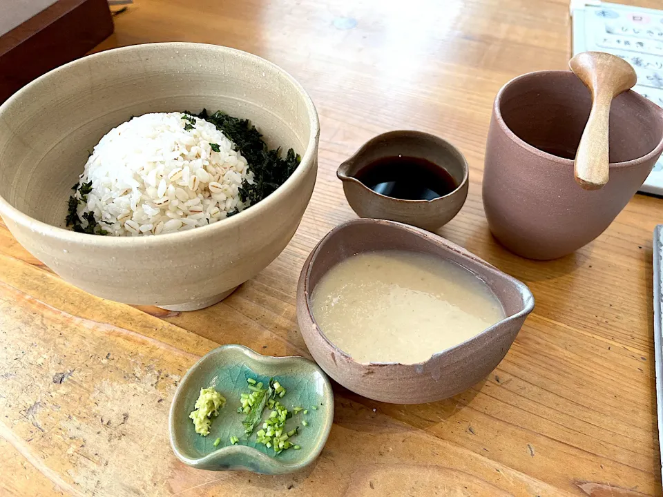 海苔とろろ丼|じょんさん