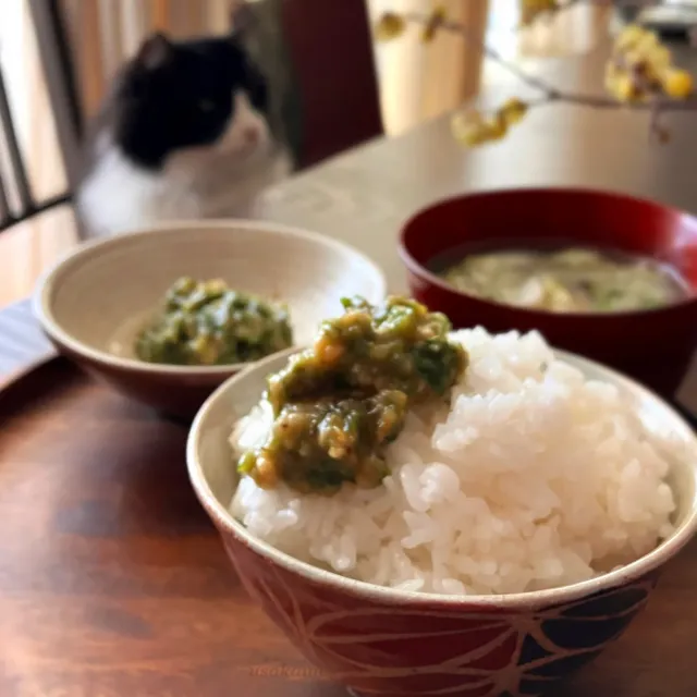 Snapdishの料理・レシピ写真:ふきのとう味噌｜春よ来い♡春待ち野菜を楽しもう！