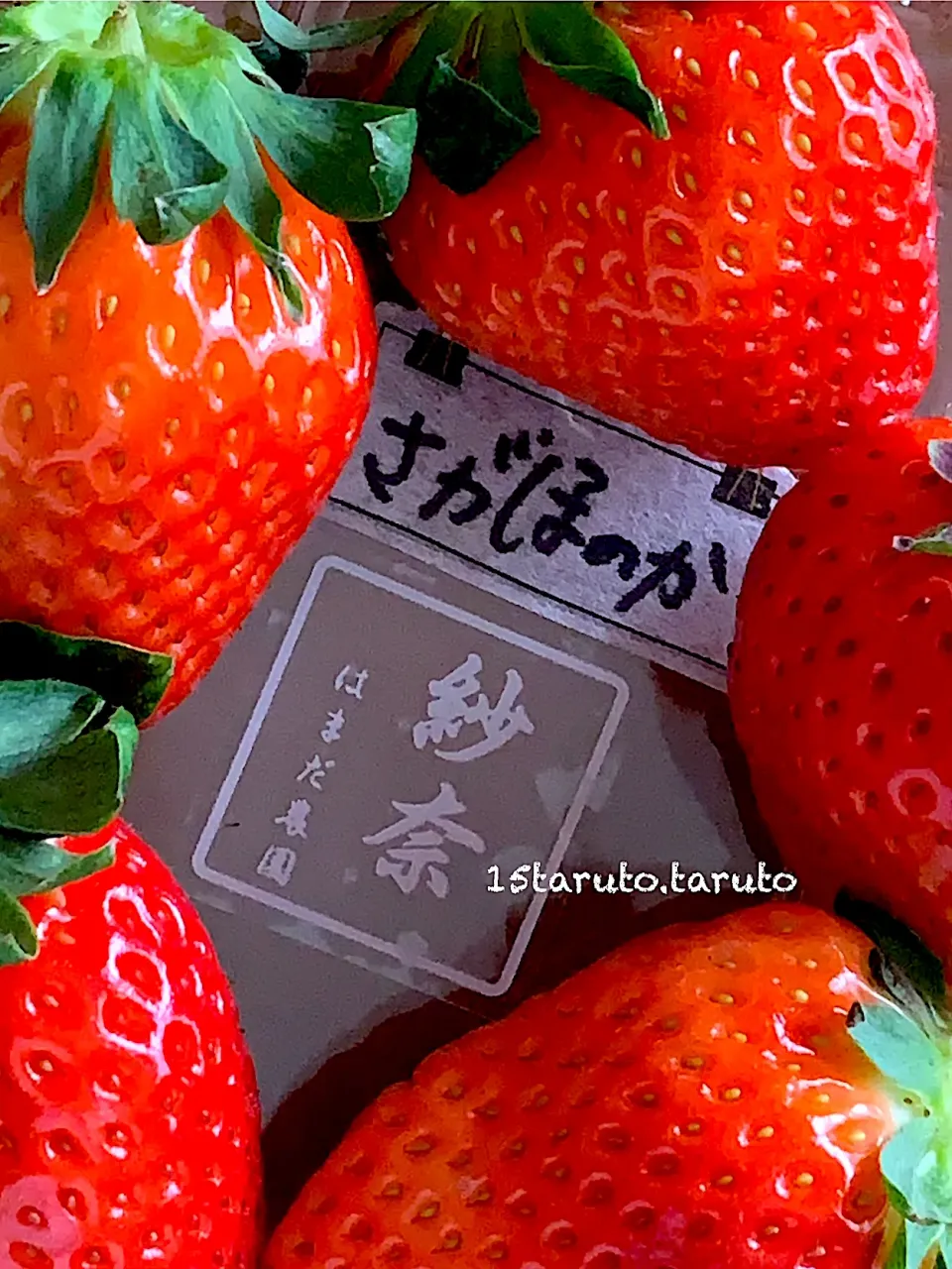 🍓いちご🍓|15taruto.tarutoさん