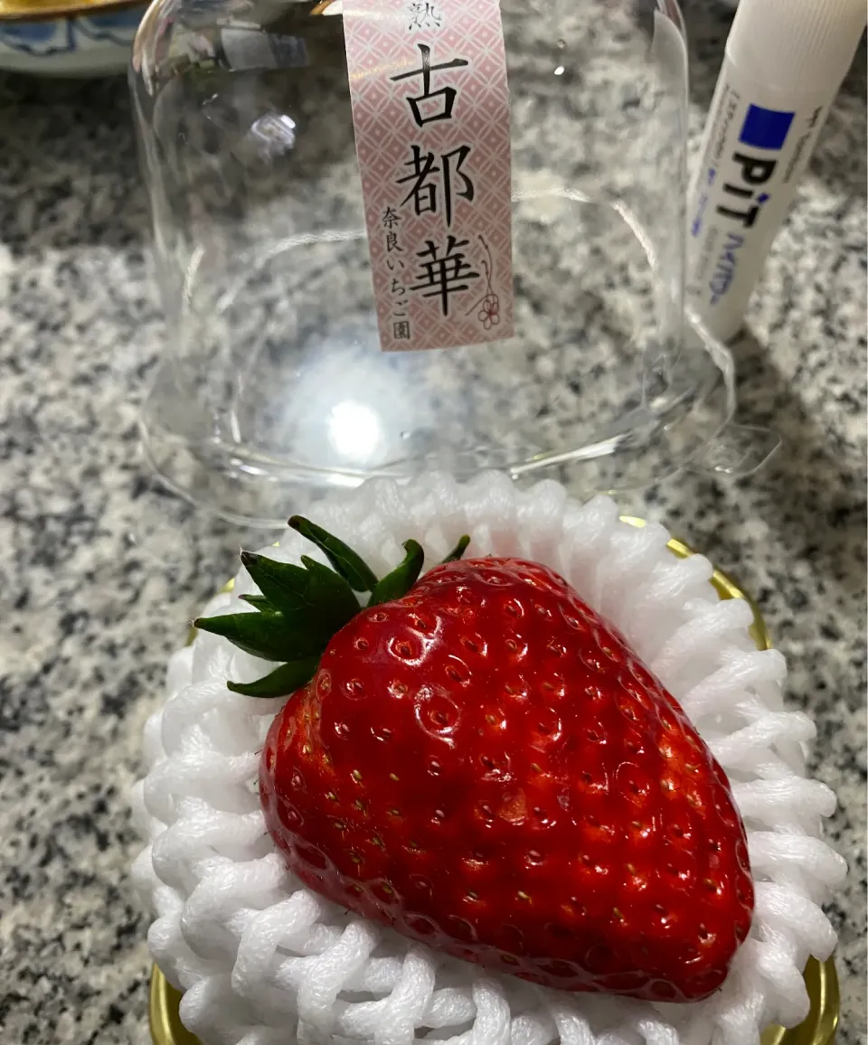 道の駅かつらぎで買ったいちご古都華|おかこさん