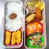 しゅうまいとグラタンとコロッケ弁当|あおのりさん