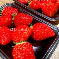 めちゃ美味🍓食べ比べ|きみちさん