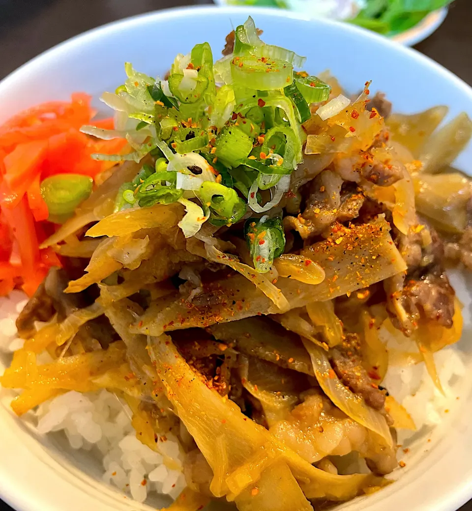 ごぼう入り牛丼|DKさん