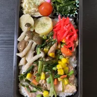 今日の味噌豚弁当🍱のせすぎて訳分からん😆|まちゃさん