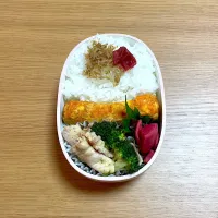 ちりめん山椒ごはん弁当|sachi ＊さん