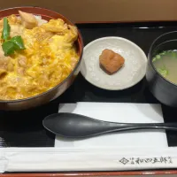 名古屋コーチン親子丼🐓| まさとさん