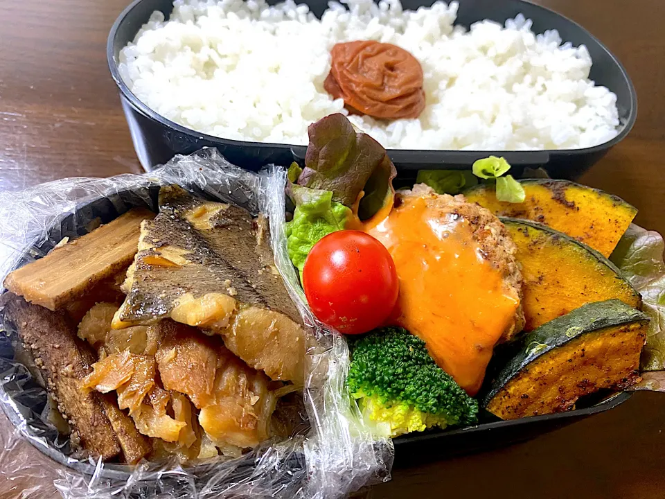 単身赴任弁当170|単身赴任のっちさん