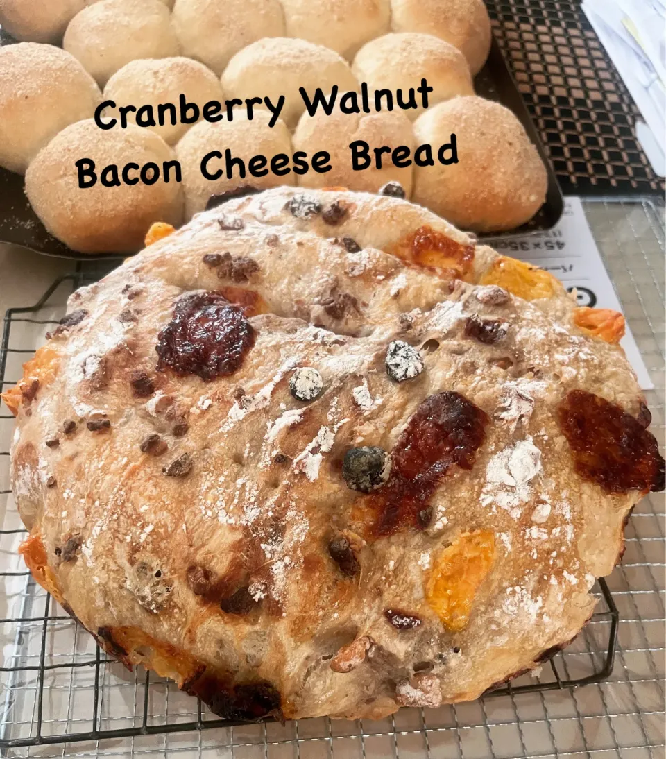 Cranberry walnut bacon cheese bread|🌺IAnneさん