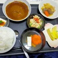 冷凍していたりんごカレーの残りと冷蔵庫の中から出した残り物。肉無し肉じゃが残り物だから仕方ないかぁ。| justice🍎IWATE🍎さん