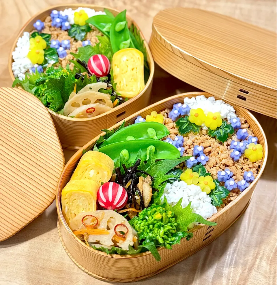 鶏そぼろ弁当〜雪解け〜|1480_kojiさん