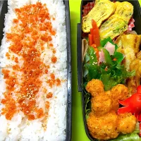 今日の息子お弁当🌈2/25（火）| KCo🌈さん