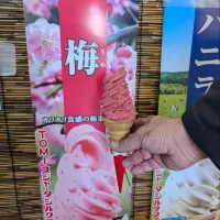 梅ソフト🍦。|ママちんさん