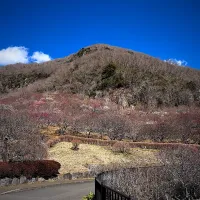 幕山公園|友紀さん