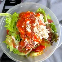 Chicken, diced up over cucumbers, lettuce, tomatoes, and onions and bacon bits with raspberry vinaigrette dressing|Kareem Boogieさん