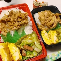 息子弁当､娘弁当|みどりさん