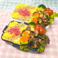 そぼろ弁当❤|みちゅあしさん