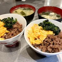 2/25  三食丼|らぶちあんさん