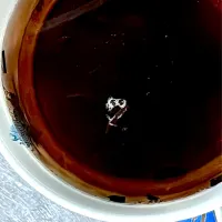 KEROPPI! in my tea #puehr #organic #brew#🫖#iseefaces #🐸|LNAさん