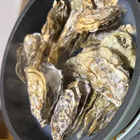 牡蠣で蒸し蒸し|だいちですさん