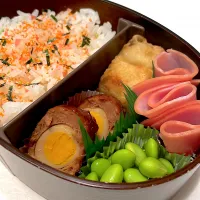 #291 うずらのミートボール弁当|namiさん