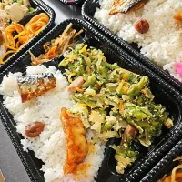 ゴーヤーチャンプルー弁当| 景子さん