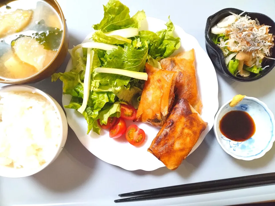 春巻き　春キャベツとじゃこ和え|さゆさん