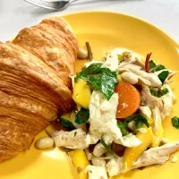 Shredded Chicken, Mozzarella and 🥭 Salad|gonbenさん