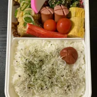 しらす弁当|まちゃさん