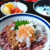 納豆しらす丼😋