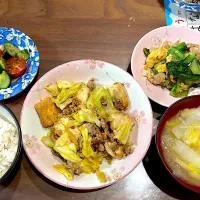 キャベツと厚揚げの坦々炒め　白菜とえのきの味噌汁　豚バラと小松菜の中華風卵炒め　きゅうりとトマトの和風レモン和え|おさむん17さん