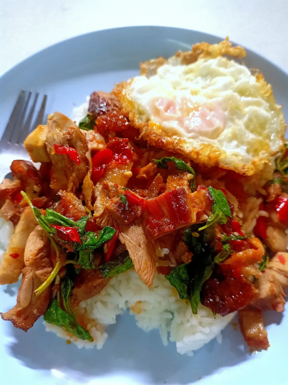 Stir Fried Roasted Duck w/Thai  Holy Basil topped w/ Crispy Fried Egg aka Pad Gaprao Ped (ผัดกะเพราเป็ด) 🦆🌶️🌶️|An'leeさん