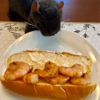 2025/3/1  エメリルのエッセンスでえびのサンドイッチ　Shrimp Sandwich with Emerils Essence, A Creole Seasoning|19 Boys & 野鳥さん