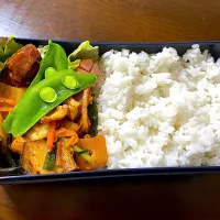 単身赴任弁当173|単身赴任のっちさん