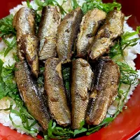 最近ハマり中^_^オイルサーディン丼^_^うまい😋|きよっさんさん