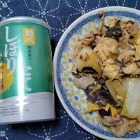 豚肉とキクラゲと卵と白菜炒め| よっちびやばんぶーさん