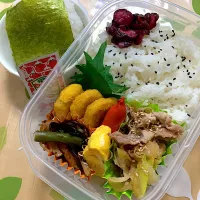 お弁当263個目|ヘパリン2.5さん