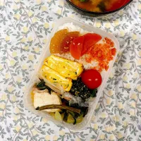 今日のお弁当