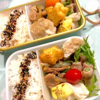 2025.3.5  ＊今日のお弁当＊アスパラガスの肉巻き♪|rinrin*mama*さん