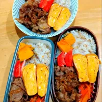 豚肉の焼肉弁当|NOZUさん