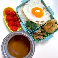 ビーフシチュー弁当！| ikumonさん